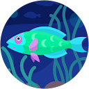 たたら製鉄 profile picture