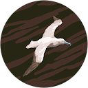 くまきち profile picture